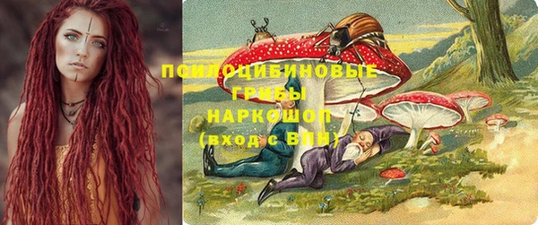 спайс Новозыбков