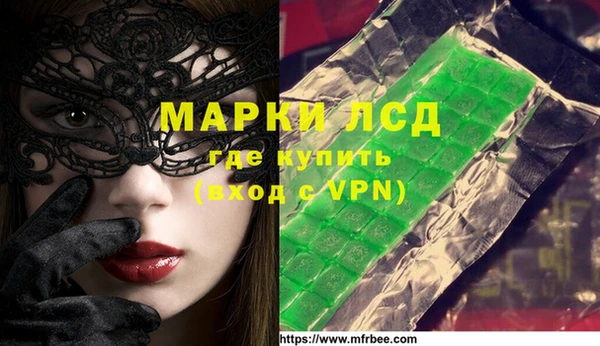 прущие грибы Новодвинск