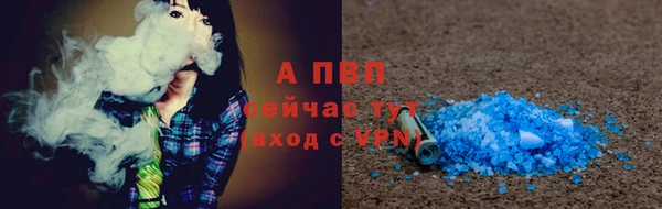 прущие грибы Новодвинск