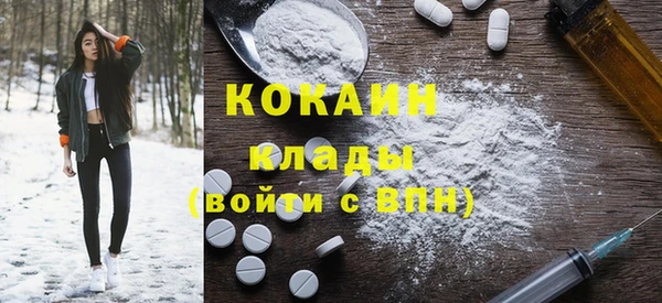 прущие грибы Новодвинск