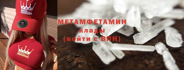 прущие грибы Новодвинск
