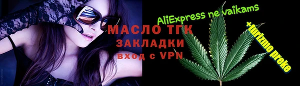 прущие грибы Новодвинск