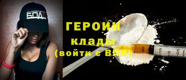 прущие грибы Новодвинск