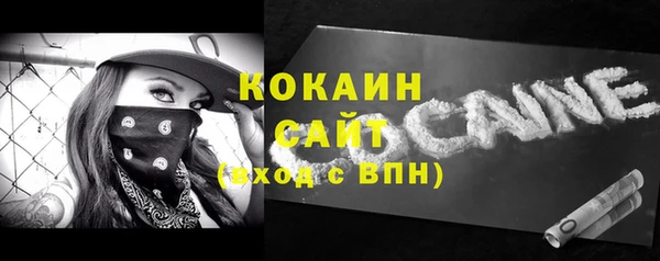 прущие грибы Новодвинск