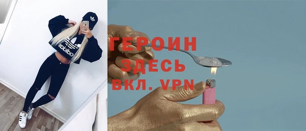 прущие грибы Новодвинск