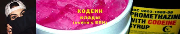 прущие грибы Новодвинск