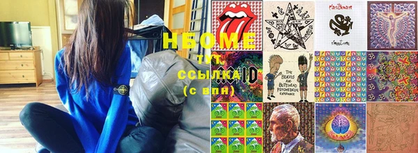 прущие грибы Новодвинск