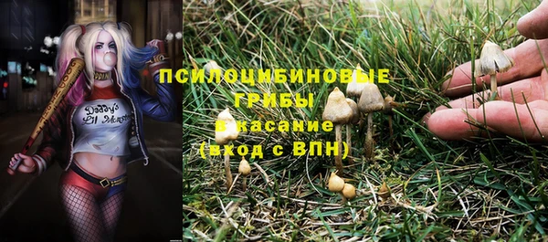 спайс Новозыбков
