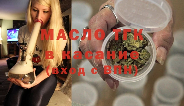 прущие грибы Новодвинск