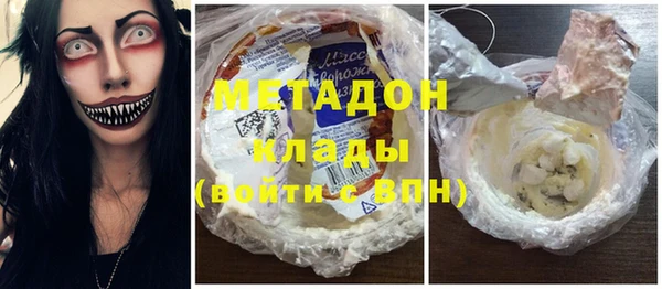прущие грибы Новодвинск