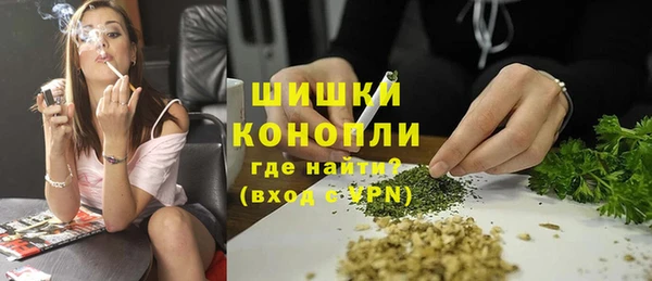 прущие грибы Новодвинск
